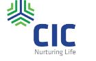 C I C HOLDINGS PLC